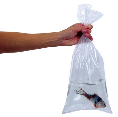 Fish Transport Bags  Water Landscape Supply