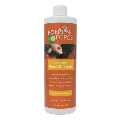 All Season Pond Bacteria 16oz