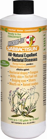 Sabbactisun 16oz