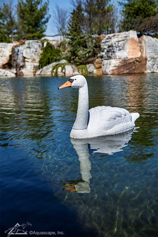 Floating Swan Decoy