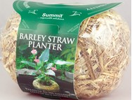 Barley Planter Mini