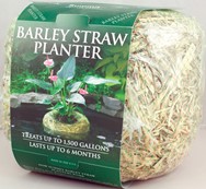 Barley Planter Med