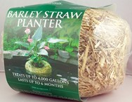 Barley Planter Large