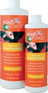 All Season Pond Bacteria 32oz